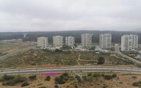 Reñaca - Eluchans Plaza
